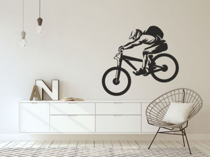 Samolepky na steny - Bicykel
