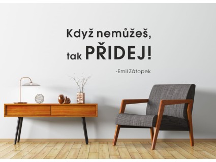 Samolepka citát - Ta jediná vec