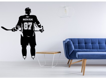 Samolepky na stenu - Hokej